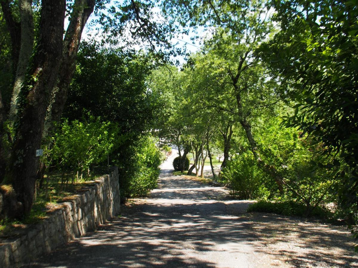 Camping Mas Du Sartre Saint Alban Auriolles Eksteriør billede